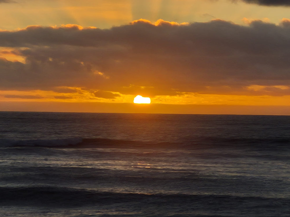 The ocean is dying from our silence too
